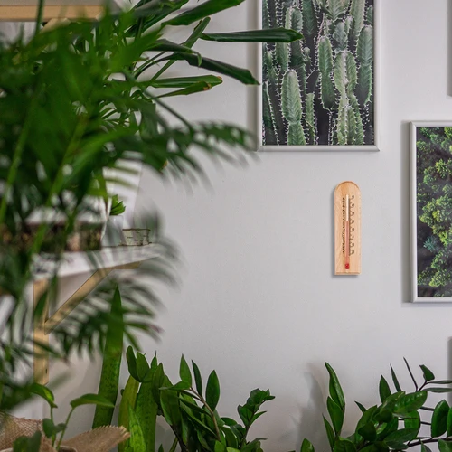Istabas termometrs ar rakstu (-20°C līdz +50°C) 15cm - 6
