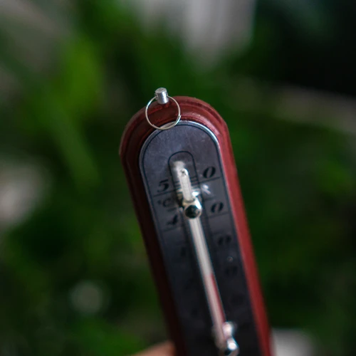 Istabas termometrs ar sudrabkrāsas skalu (-10°C līdz +50°C) 16cm asorti - 5