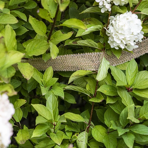 Jutas lente 5 cm /  8 m - 5