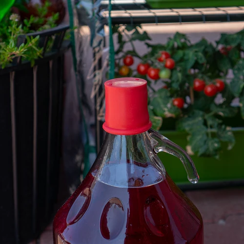 Kapuces korķis damižoniem un baloniem – ø 45 mm - 3