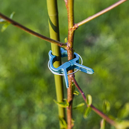 Klipši augu stiprināšanai 20 gab. (8x lieli/12x mazi) - 7