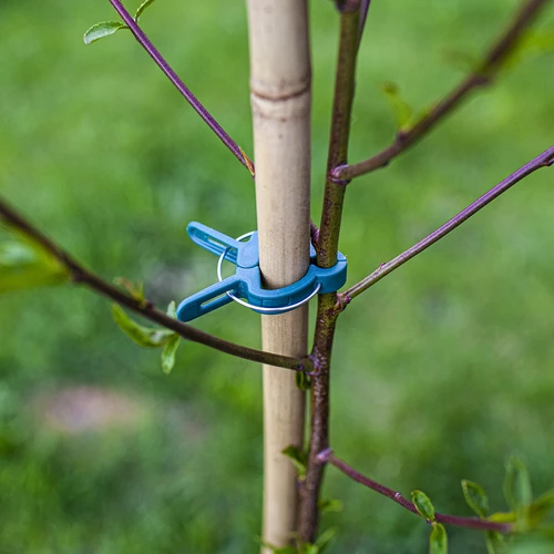 Klipši augu stiprināšanai 20 gab. (8x lieli/12x mazi) - 8