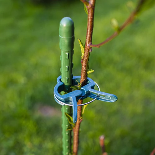 Klipši augu stiprināšanai 20 gab. (8x lieli/12x mazi) - 9