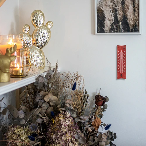 Koka istabas termometrs (-20 līdz +50°C), 15 cm, asorti - 8