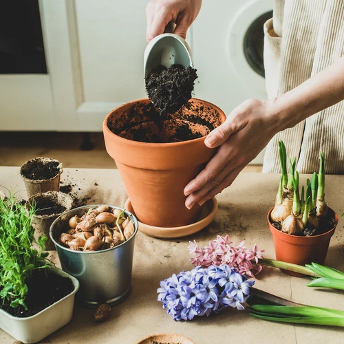 Kokosriekstu aktivētā ogle augiem 0,9 L - 7