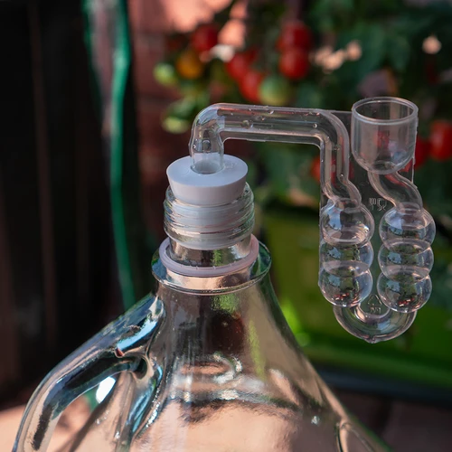 Korķis demižonam 33/29 mm - 4