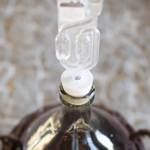 Korķis demižonam 33/29 mm - 6