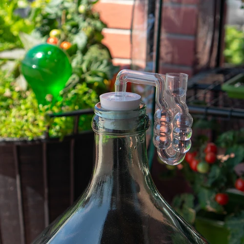 Korķis demižonam Ø 43 mm ar aizdari - 5