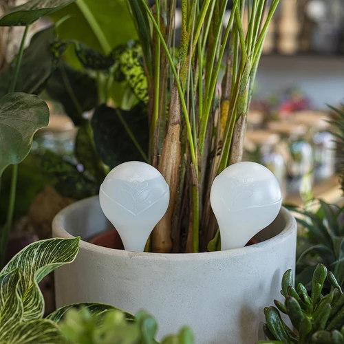 Laistīšanas bumba augiem, balta matēta ar keramikas kājiņu, 400 ml - 9