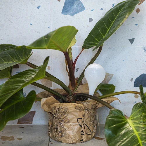 Laistīšanas bumbas augiem, baltas puscaurspīdīgas, 400 ml, 4 gab. - 9