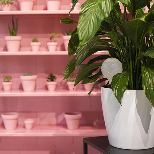 Laistīšanas bumbas augiem, baltas puscaurspīdīgas, 400 ml, 4 gab. - 12