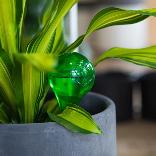 Laistīšanas bumbas augiem, caurspīdīgi zaļas, 400 ml, 2 gab. - 11