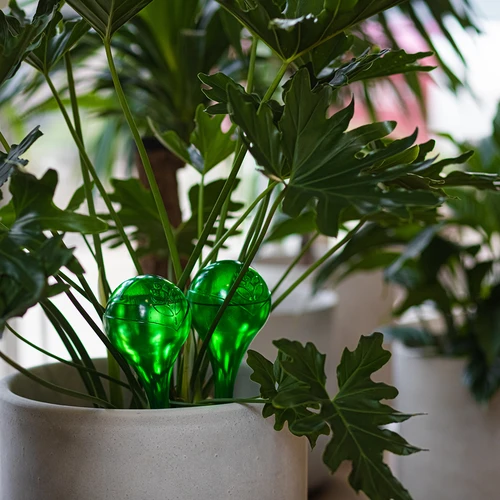 Laistīšanas bumbas augiem, caurspīdīgi zaļas, 400 ml, 2 gab. - 13