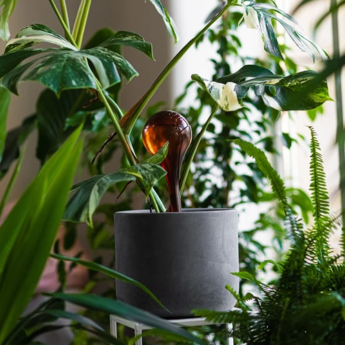 Laistīšanas bumbas augiem, dzintarkrāsas caurspīdīgas, 400 ml, 4 gab. - 9