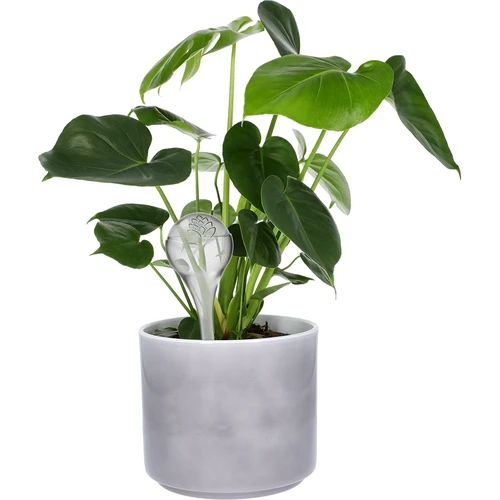 Laistīšanas bumbas, caurspīdīgas, 400 ml, 4 gab. - 6