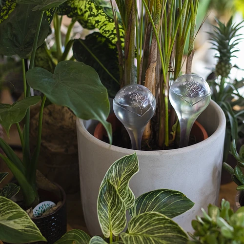 Laistīšanas bumbas, caurspīdīgas, 400 ml, 4 gab. - 8