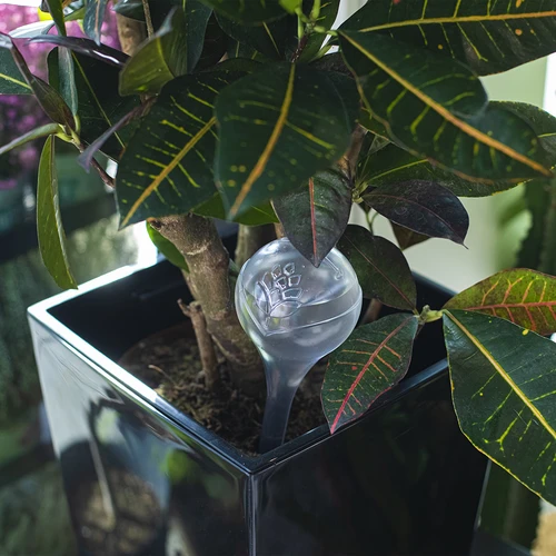 Laistīšanas bumbas, caurspīdīgas, 400 ml, 4 gab. - 9