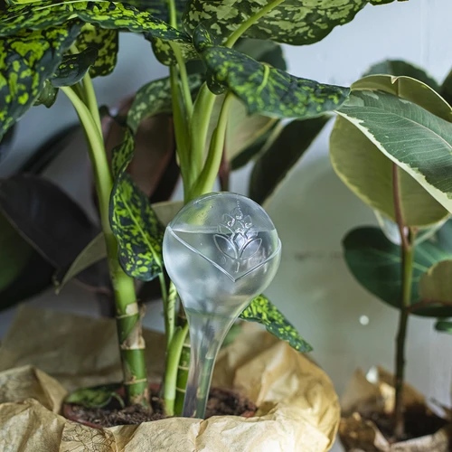 Laistīšanas bumbas, caurspīdīgas, 400 ml, 4 gab. - 10