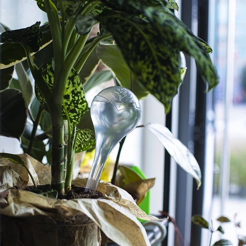 Laistīšanas bumbas, caurspīdīgas, 400 ml, 4 gab. - 11