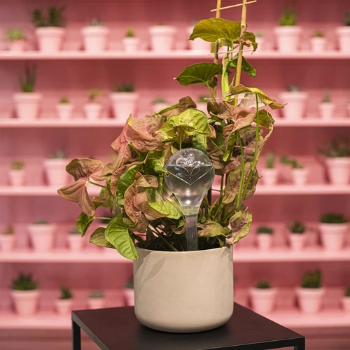 Laistīšanas bumbas, caurspīdīgas, 400 ml, 4 gab. - 12