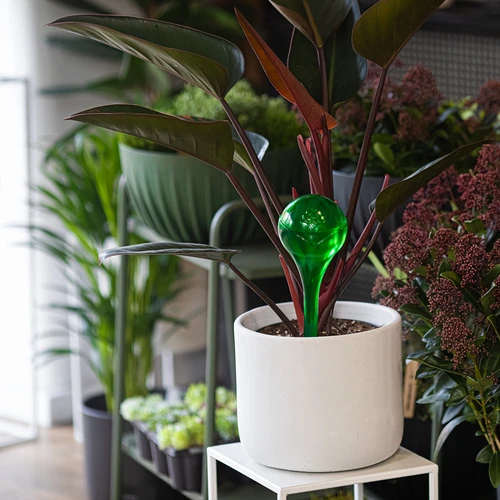 Laistīšanas bumbiņas augiem, caurspīdīgi zaļas, 400 ml, 4 gab. - 9