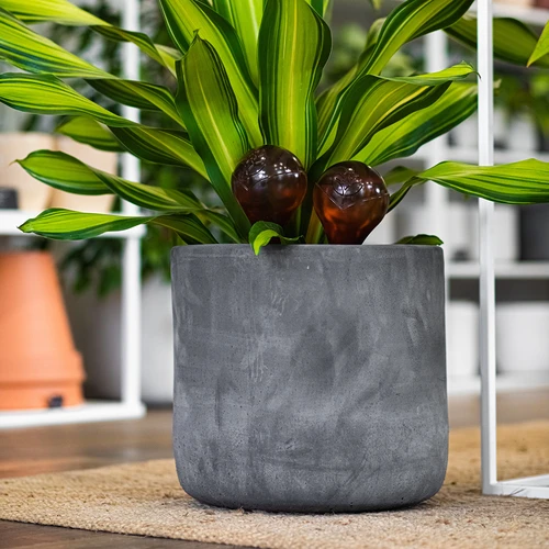 Laistīšanas lodītes augiem, caurspīdīgas dzintara krāsas, 400 ml, 2 gab. - 13