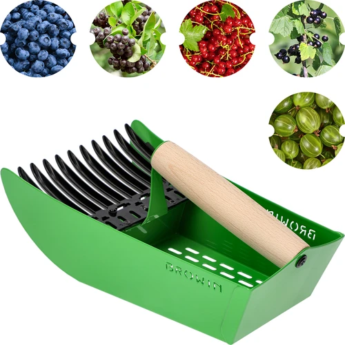 Mazo ogu lasītājs, metāla, zaļš - 2