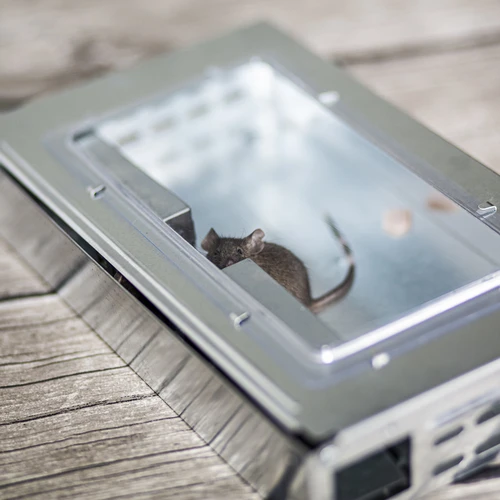 Metāla peles slazds – dzīvķeramais slazds - 8