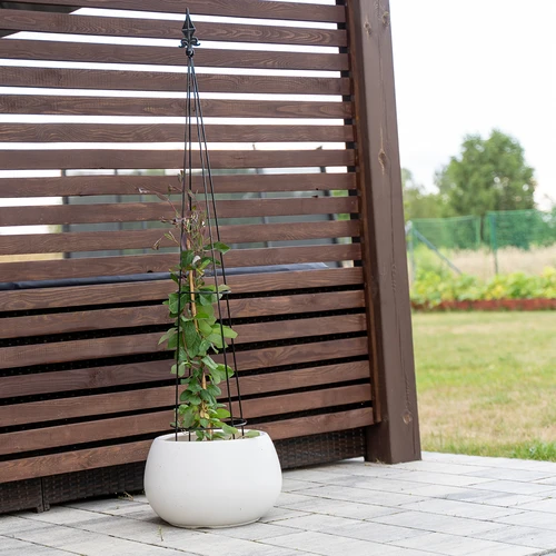 Metāla pergola – Piramīda, 135 cm - 4