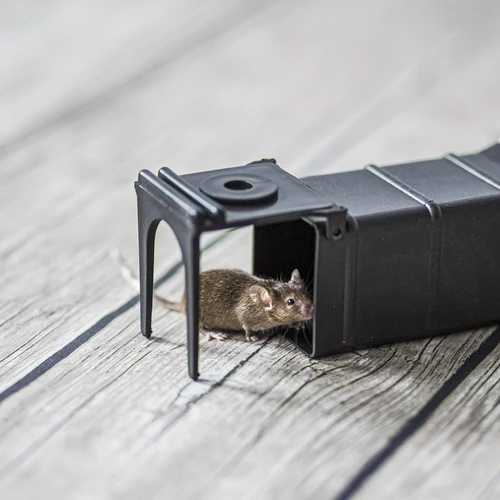 Peļu slazds - dzīvsķeramais slazds - 8