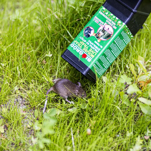 Peļu slazds - dzīvsķeramais slazds - 10