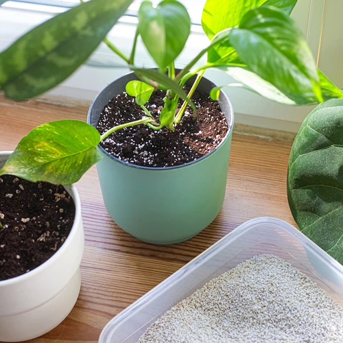 Perlīts istabas augiem un dārzkopībai, 2 L - 8