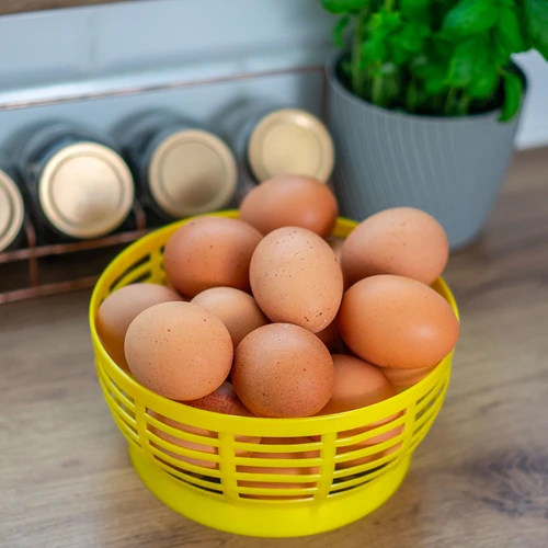 Plastmasas grozs Dam 5L damadžonam, dzeltens - 8