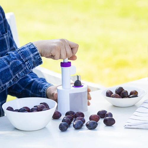 Plūmju kauliņu izņēmējs - 3