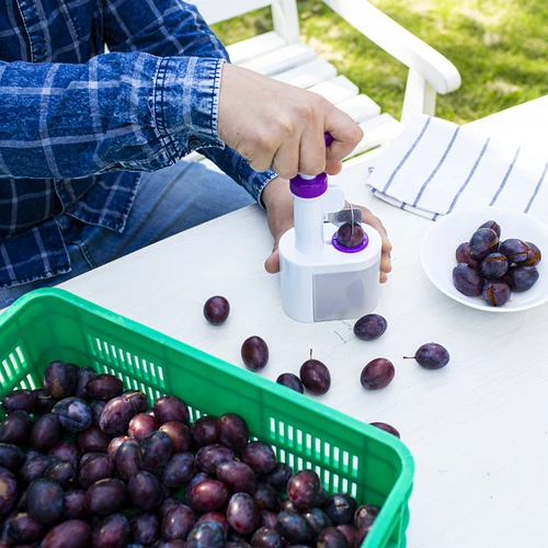 Plūmju kauliņu izņēmējs - 4