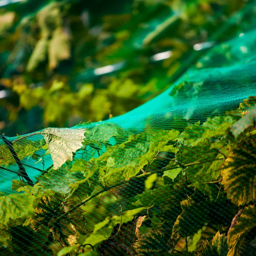 Pretputnu tīkls, zaļš, 8 m x 14 m - 5