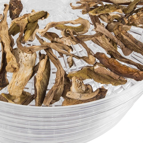 Sēņu, augļu, dārzeņu un garšaugu žāvētājs 125 W - 5