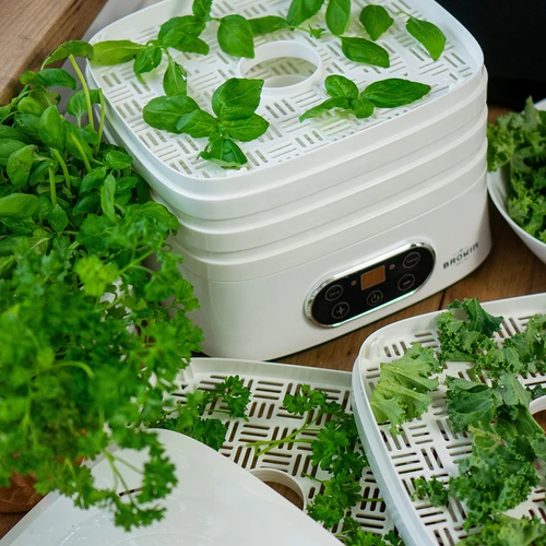 Sēņu, augļu, dārzeņu un garšaugu žāvētājs ar temperatūras regulēšanu, 240 W, balts - 23