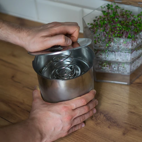 Šinkovārs – Ģimenes mielasts 3 kg - 12