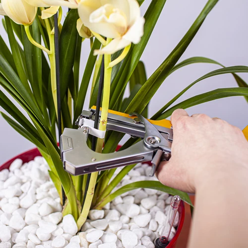 Skavas dārza skavotājam - 10000 gab. - 5