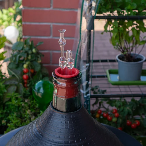 Stikla fermentācijas ūdens slēgs - 4