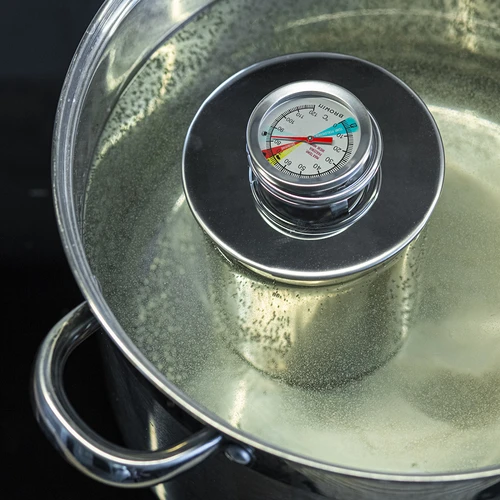 Termometrs šķiņķa vārītājam 0,8 kg (0 °C līdz +120 °C) 9,0 cm - 8