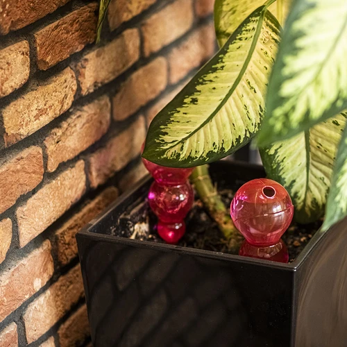 Trīskameru apūdeņošanas bumba (ar trim kamerām), caurspīdīgi rozā, 600 ml - 8