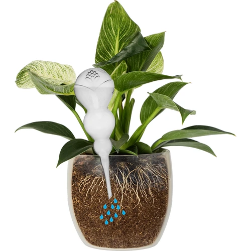 Trīskārša (trīskameru) laistīšanas bumba, caurspīdīga, bezkrāsaina, 600 ml - 3