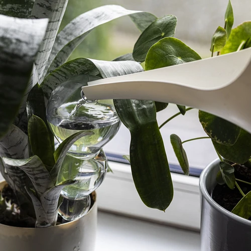 Trīskārša (trīskameru) laistīšanas bumba, caurspīdīga, bezkrāsaina, 600 ml - 6