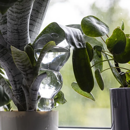 Trīskārša (trīskameru) laistīšanas bumba, caurspīdīga, bezkrāsaina, 600 ml - 7