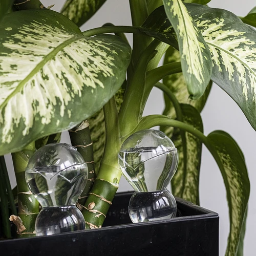 Trīskārša (trīskameru) laistīšanas bumba, caurspīdīga, bezkrāsaina, 600 ml - 8