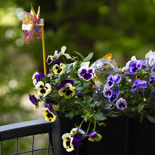 Trīskārša (trīskameru) laistīšanas bumba, caurspīdīga, bezkrāsaina, 600 ml - 9