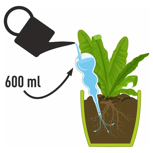 Trīskārša (trīskameru) laistīšanas bumba, caurspīdīga, bezkrāsaina, 600 ml - 4