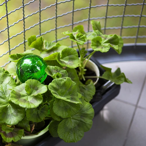 Trīskārša (trīskameru) laistīšanas bumba, caurspīdīgi zaļa, ar keramisku konusu, 600 ml - 9